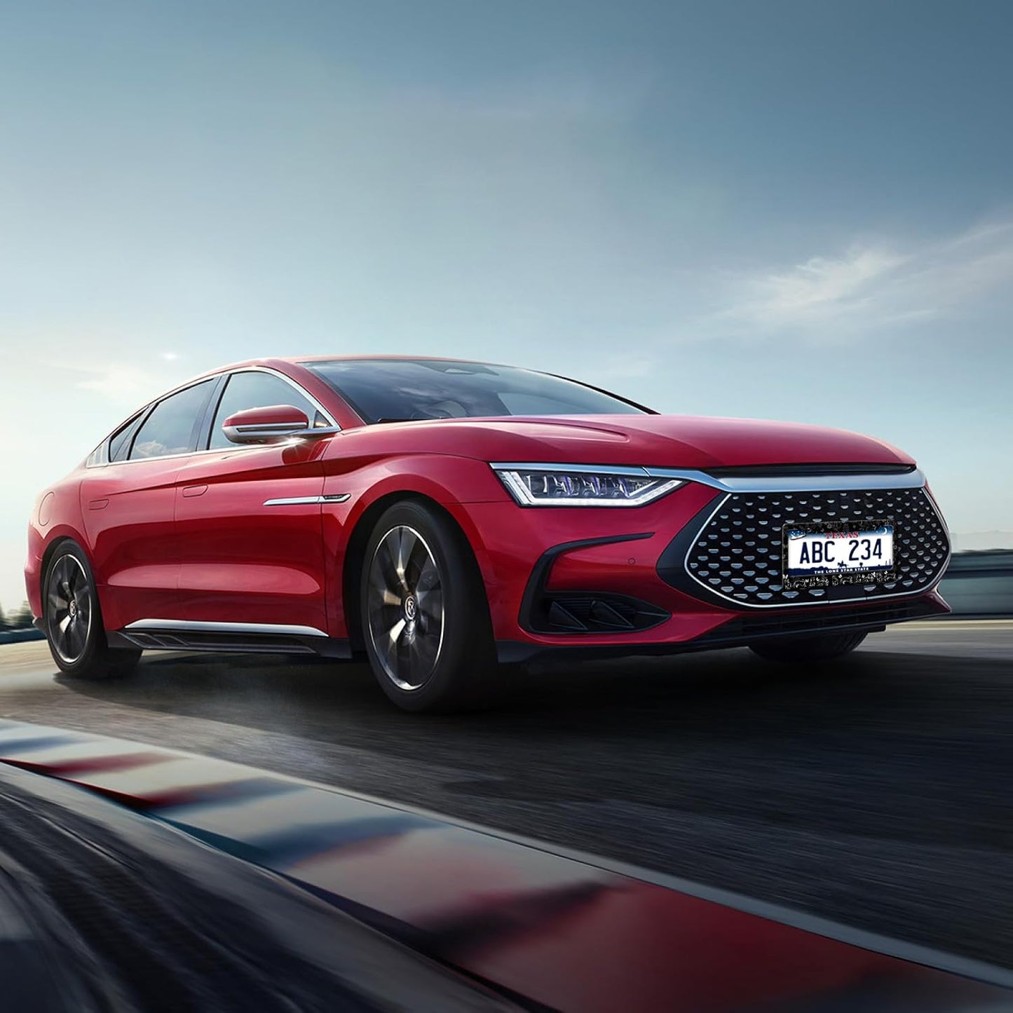 Black White Cat License Plate Frame Butterfly Floral License Plate Frames Funny Auto Accessories Bracket Stainless Steel License Plate with Screws 6x12Inch