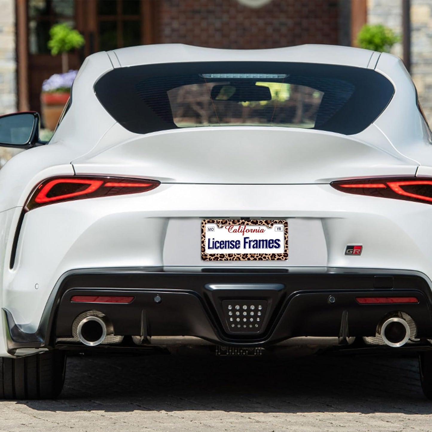 Stainless Steel Brown Cheetah License Plate Holder Leopard Print License Plate Frame Cheetah Leopard Car License Plate Covers tag Frame for Women 12.3" X 6.3"