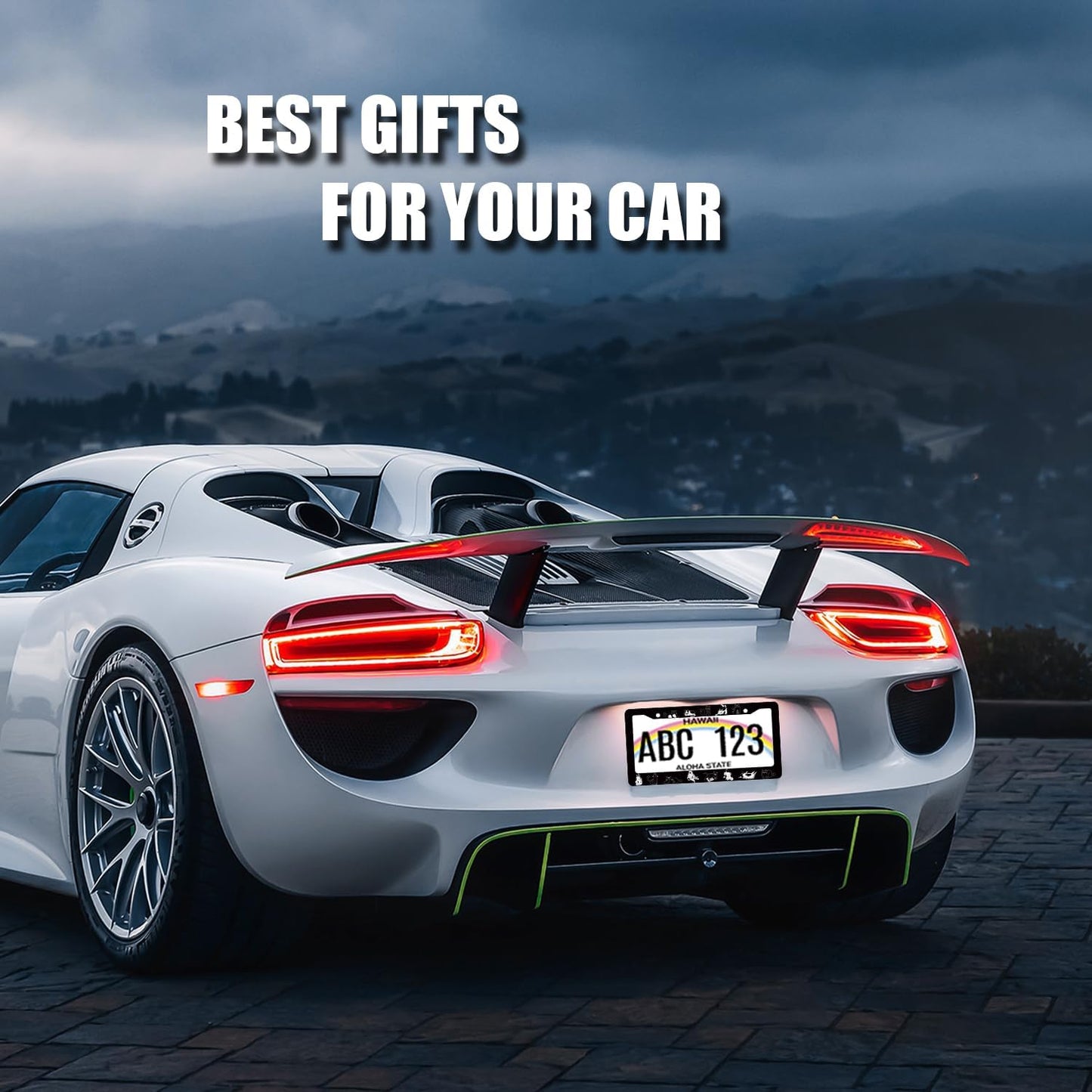 Cats License Plate Frame Cute Animal Cat License Plate Holder Stainless Steel Funny Design Compatible with Standard License Plate for USA Canada 12.3" x 6.3" with 2 Screws