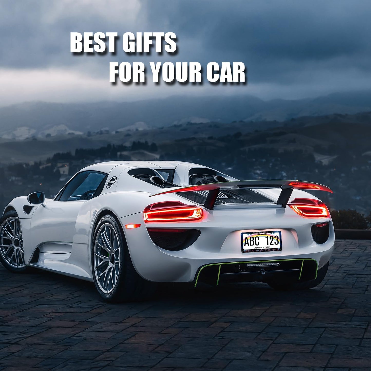 Sea Turtle License Plate Frame Blue Turtles License Plate Stainless Steel Ocean Animals Funny Accessories Cars Decor 12.2 X 6.2 Inch with 2 Holes and Screws Fits Standard Us Ca Vehicles