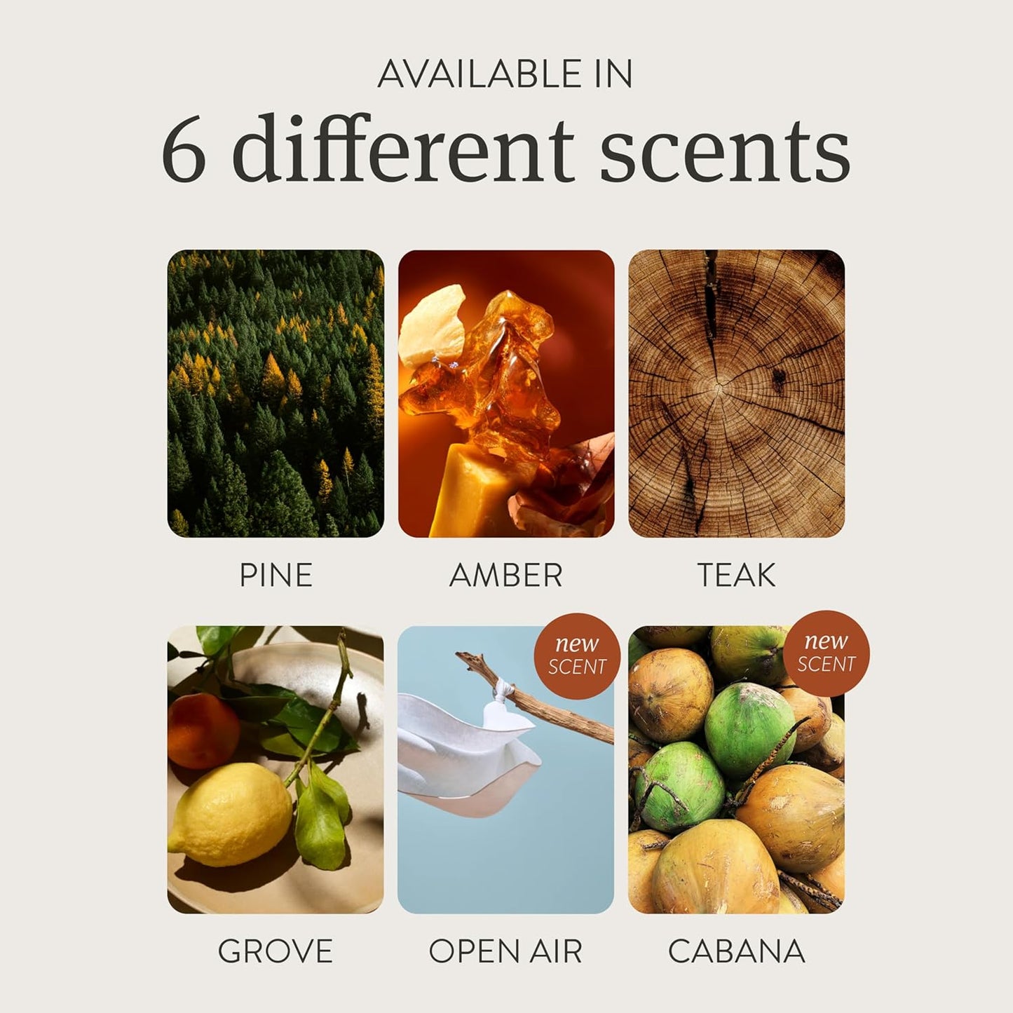 Drift Car Air Freshener - Stone Air Freshener - Car Odor Eliminator - Variety 3 Pack Starter Kit - CLIP INCLUDED - Variety 3 Pack