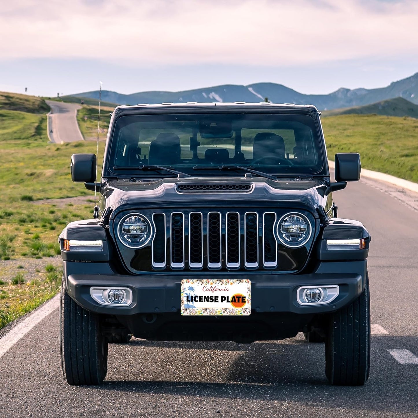 Cute Cat License Plate Frame Kitten Stainless Steel License Plate Holder for Front or Rear Car Tags Funny for Car Decoration Accessories with Screws 6.3 X 12.2 in for Women Men